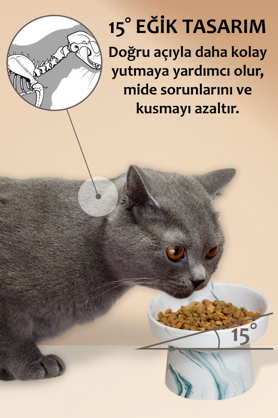 Seramik Ayaklı Mama Kabı